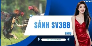 Sảnh SV388