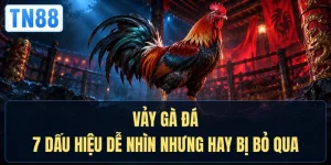 Vảy Gà Đá - 7 Dấu Hiệu Dễ Nhìn Nhưng Hay Bị Bỏ Qua